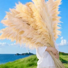 40" Tall 20 PCS Natural Dried Pampas Grass Decor, Large Tall Beige Pampas for...