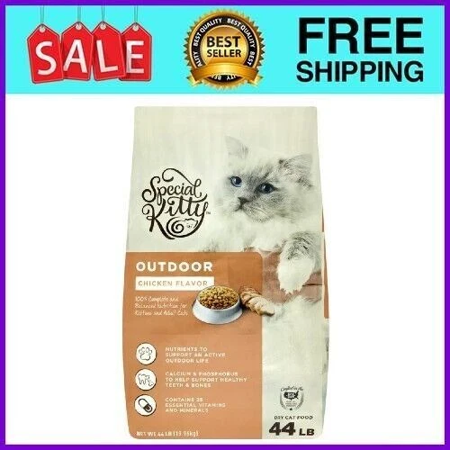 Special kitty outdoor sales