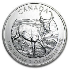 2013 Antelope - 1 Oz Silver - Canadian Wildlife Coin - $5 - BU - *2