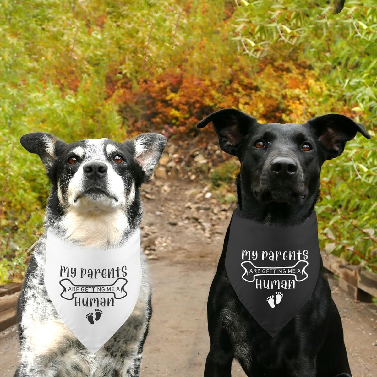 Big Brother Dog Bandana Big Brother Dog Bandana Walmart