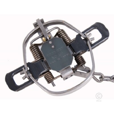 Bridger #1.65 regular jaw ( Qty 5 ) new 4 coil traps coyote fox raccoon