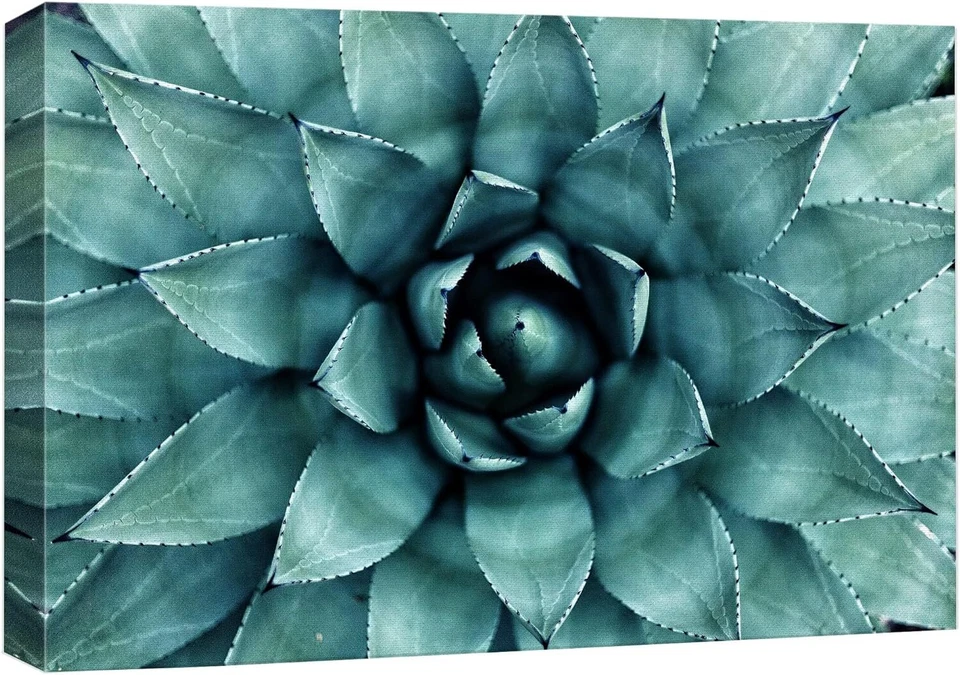 Arte de pared botánico floral impresión en lienzo suculento rosa verde azulado Wall26 Foto 2 de 4