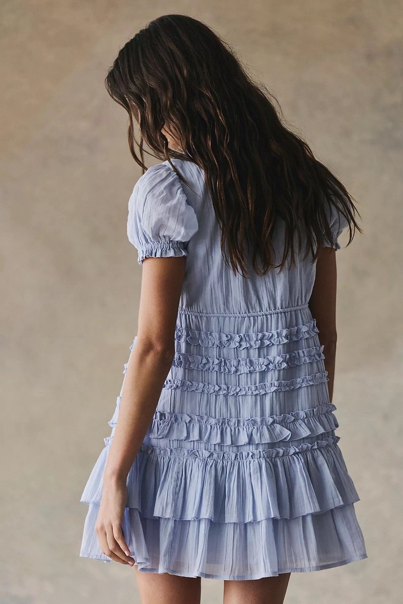 Free People Darcy Mini Dress Dried Hydrangea NWT XS | eBay