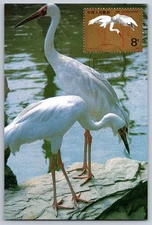 China Set of Three Cranes FDC Maxi Cards 1986