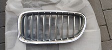 BMW F11 Luxury Line Nieren
