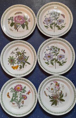 6 x PORTMERION BOTANIC GARDEN USED DINNER PLATES 10.5 INCHES. - Picture 1 of 5