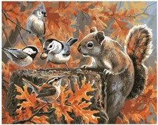 Paint By Numbers Adults kids Squirrel With Birds DIY Painting Kit 40x50CM Canvas