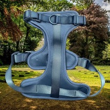 Wild One Cushioned Dog Harness Medium Blue No-Pull Adjustable Comfort Walking M