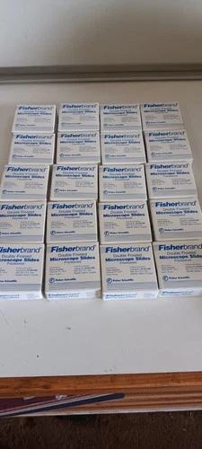 20 Packs Fisherbrand Double Frosted Microscope Slides 22-034-486