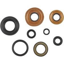 Cometic Gasket C7096OS Oil Seal Kit