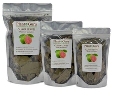 Dried Guava Leaves - Natural Psidium Guajava Tea Leaves, Hojas de Guayaba