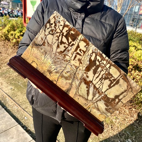 Quadro calcare dendrite cinese bellezza naturale 6,8 libbre Shi Guohua - raro - - Foto 14 di 16