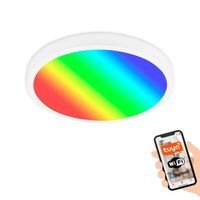 Briloner Runa Led Deckenleuchte, Smart, Sprachsteuerung, Fernbedienung, Cct Farb