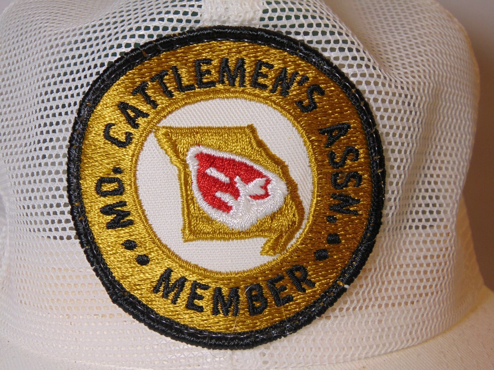 Picture 5 of 12