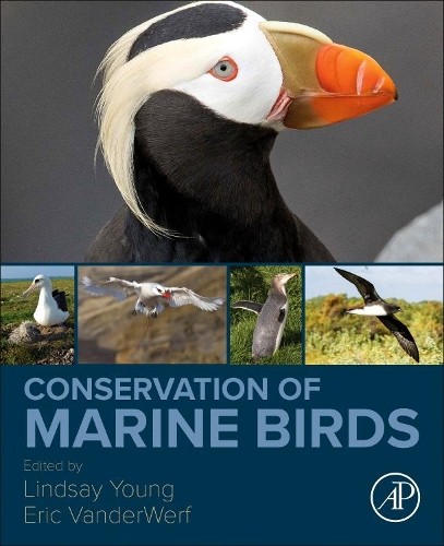 Conservation of Marine Birds by Lindsay Young, Eric VanderWerf - 9780323885393