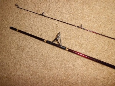 Vintage DAIWA Procaster PL-15 Spinning 8' Rod- 6 -12lb test | eBay
