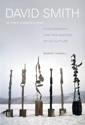 Sarah Hamill David Smith in Two Dimensions (Hardback) (UK IMPORT)