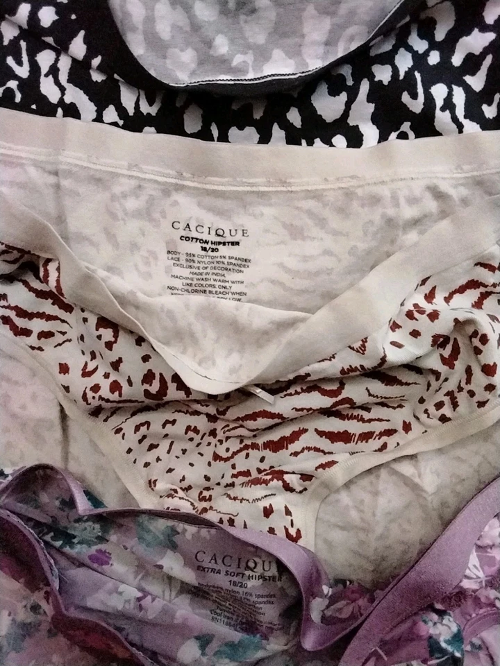 Calzoncillo completo extra suave 18/20 Lane Bryant Cacique e hipster, lote de 5, nuevo Foto 4 de 4