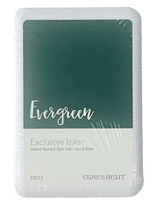 CLOSE to my HEART EXCLUSIVE INKS EVERGREEN MAGNETIC STAMP PAD - STILL SEALED