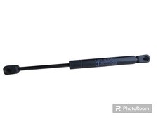 Verin de hayon / de capot Nissan TERRANO