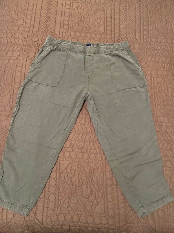 NWT Gap Women's Elastic Waist Tencel Pull-On Pant Green Size XXL