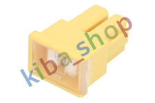FUSE 1PCS RATED CURRENT 60A LENGTH 24MM PAL