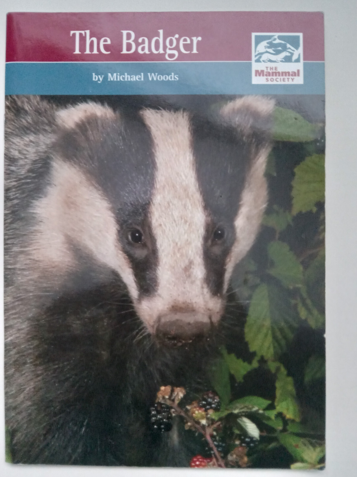 Michael Woods - The Badger Mammal Society Species Series Paperback Book