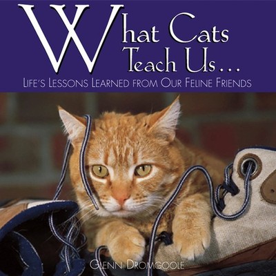 What Cats Teach Us: Life's Lessons Learned from Our Feline Friends