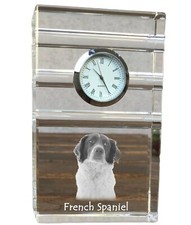 Epagneul Français, Horloge En