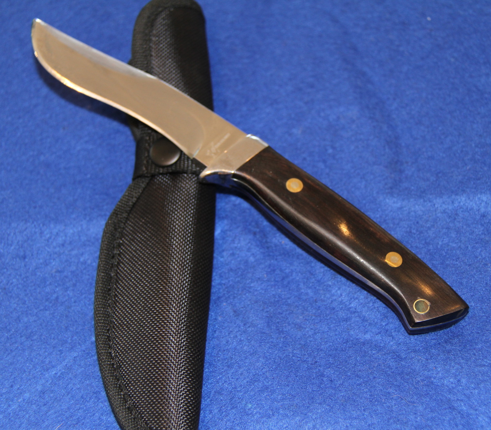 BLACKJACK FIXED BLADE MAMBA HUNTING KNIFE WITH NYLON SHEATH NIB eBay