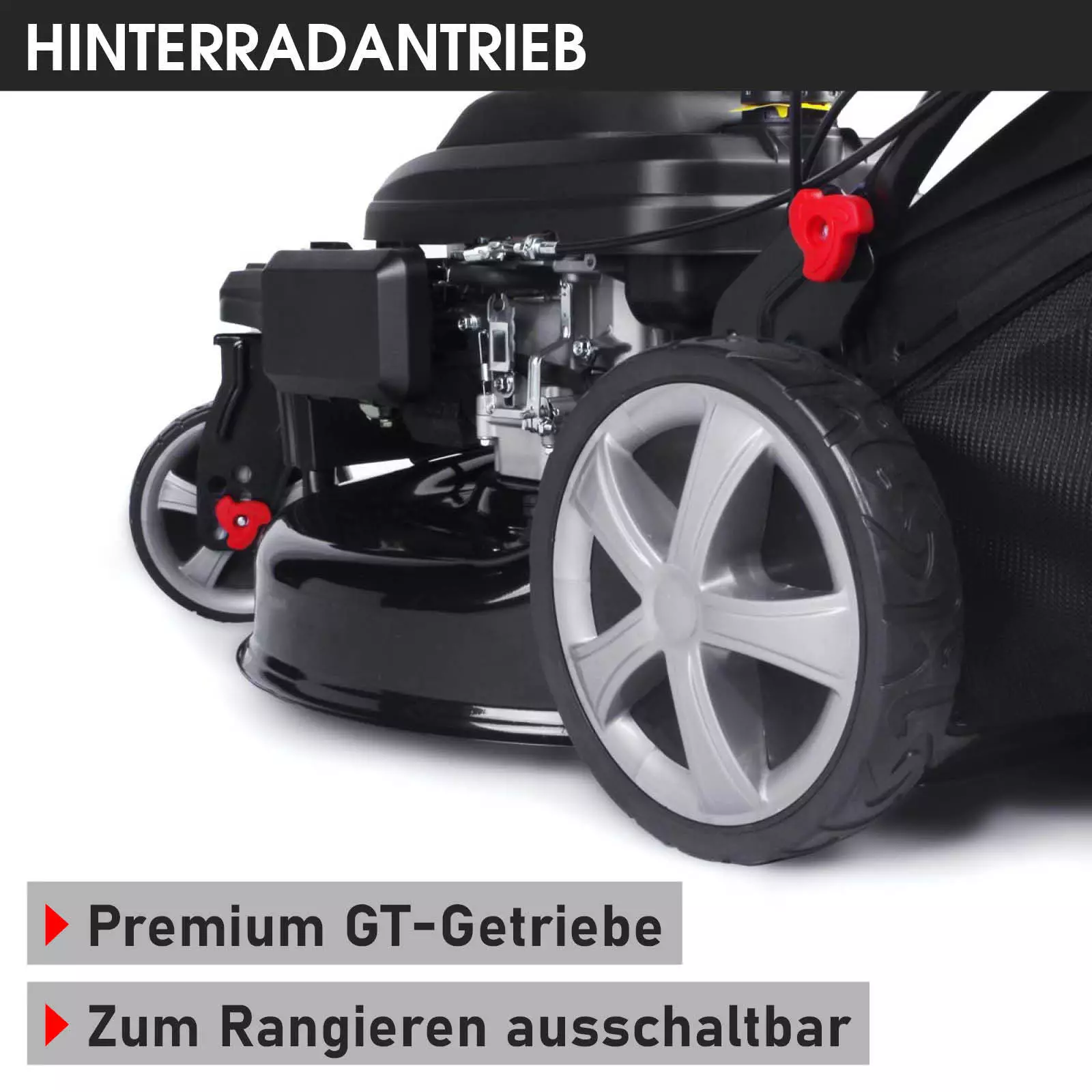 Bild 8 von 16