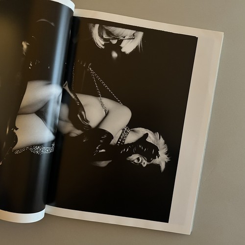 Venus Nude Masterpieces by Five Great Artists, Japanese Photobook 1993 - Picture 5 of 14