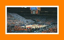ILLINOIS FIGHTING ILLINI  2005 NCAA FINAL FOUR MATTED PANORAMIC GAME PHOTO