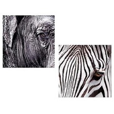 2 Stück Wandbilder  Zebra und Elefant Afrika Bild je 60 x 60 cm Wildtiere