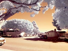 Infrared converted Camera Nikon D70s  Full Spectrum