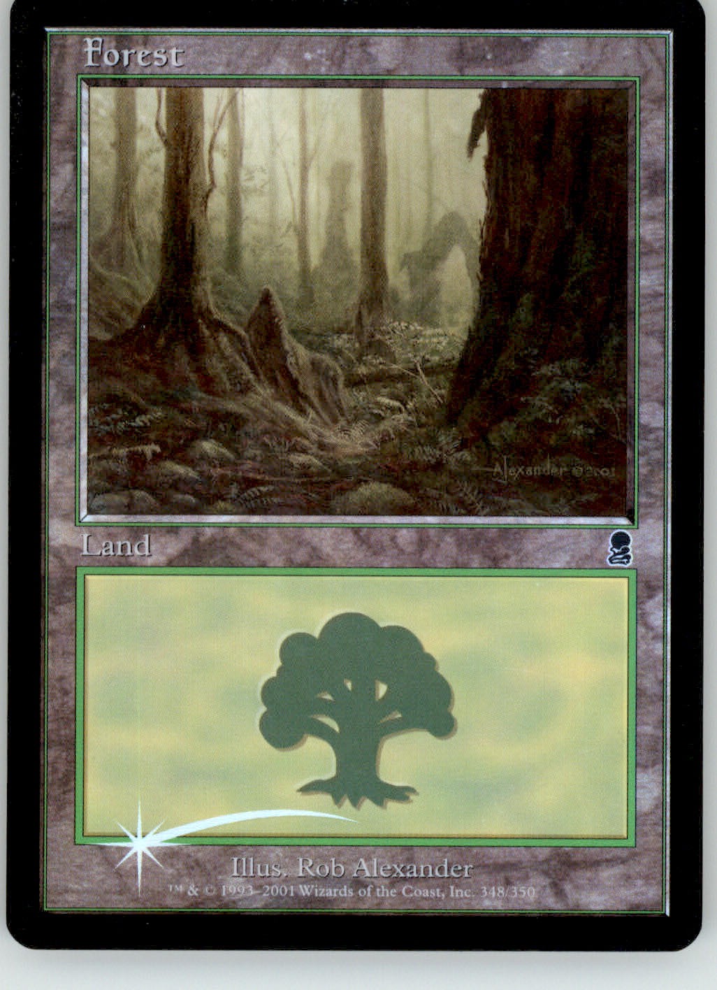 Forest (348) - Odyssey - 348 - Foil MP Magic: The Gathering