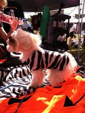 dog vest, soft fleece material, many sizes 