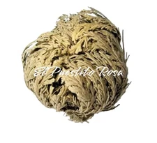 Jericho Flower 1 pc / Flor de Jerico una pieza