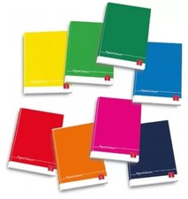 maxiquaderni monocromo maxi quaderni rigatura 1R/5MM/10MM Pigna 42ff gr.80