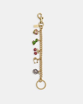 NWT Coach Motif Chain Bag Charm Rexy Tea Rose Cherries Heart  Brass Multi  Rare