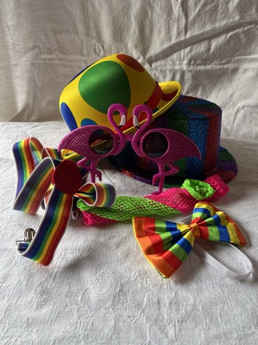 Big Box of Party Costumes & Accessories including an Inflatable Ride-On Rooster - Picture 3 of 21