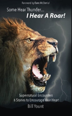 Some Hear Thunder... I Hear a Roar!: Supernatural Encou - Paperback NEW Yount, B