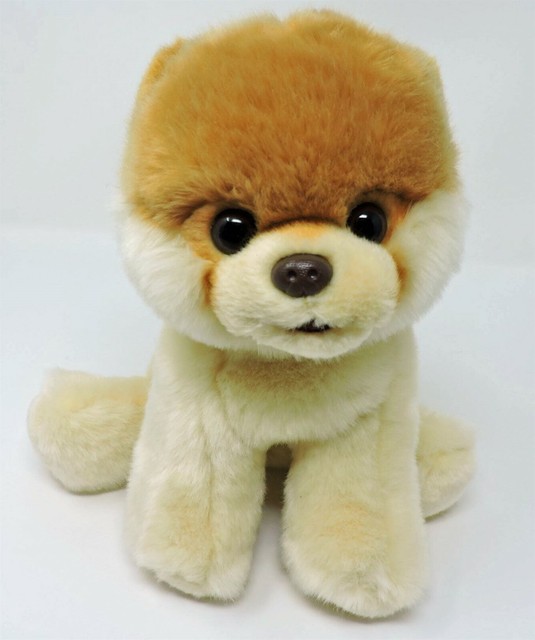 boo toy pomeranian