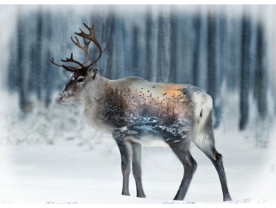Hoffman Call of the Wild Digital T4862 597 December 31 3/4'' Digital Deer Panel