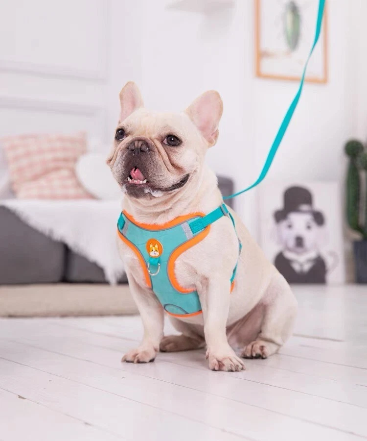 Dog Harness Set No Pull Adjustable Reflective Breathable Harness French Bulldog