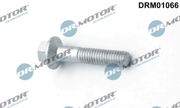 Dr.Motor Automotive Schraube, EinspritzdüSenhalter DRM01066 FüR Ford-image