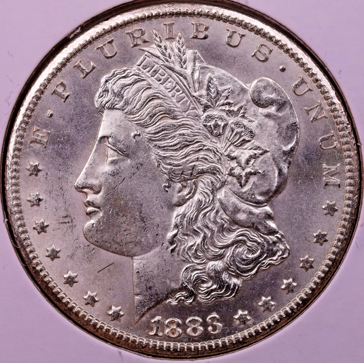 25+ Carson City Morgan Dollars 1883 for sale | Updated Oct 2026