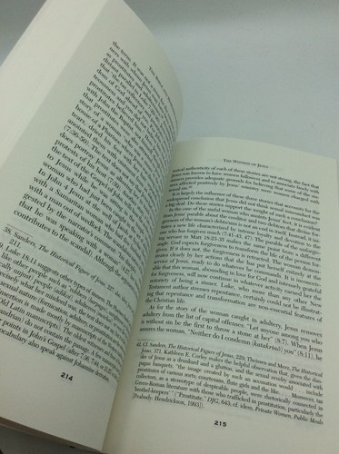 THE BIBLE AND HOMOSEXUAL PRACTICE by Robert A.J. Gagnon - 2004 - biblical - Picture 4 of 4