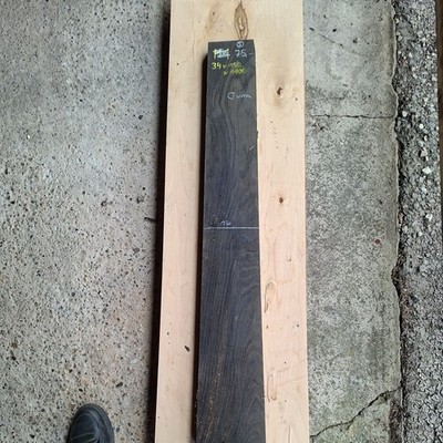 Mooreiche 34x150x1100mm aus den Donaumoos 