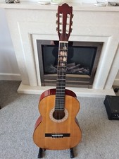 Acoustic Guitar Encore Enc44
